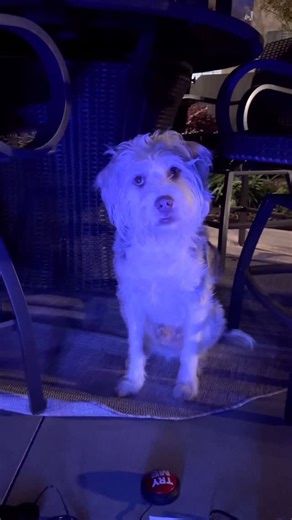 AGuyandAGolden on Instagram: "There is haunted pools now?!"