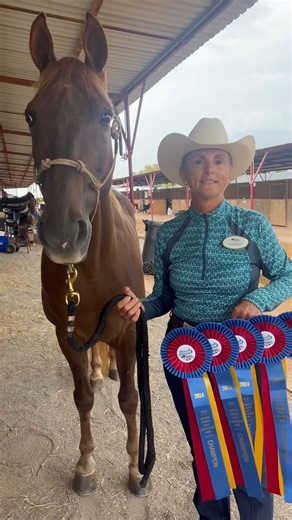 Meet The Wicked Wolf (aka Timber) — the first Tennessee Walking Horse to be honored as a USEF Horse of the Year and a WDAA Supreme Champion! 🏆 WDAA Board Member, Tami Steinbrecher, shares how all gaited horses have a place in Western Dressage. This year, 20 Tennessee Walking Horses joined us at the 2025 WDAA World Show — and the gaited community keeps growing! US Equestrian - Tennessee Walking Horse Breeders' & Exhibitors' Association - American Saddlebred Horse & Breeders Association - Missour