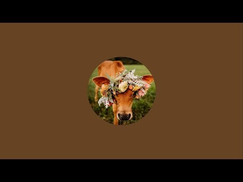 Steinmetz Family Farm is live!