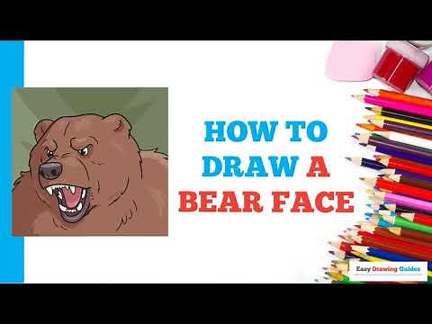 How to Draw a Bear Face in a Few Easy Steps: Drawing Tutorial for Beginner Artists