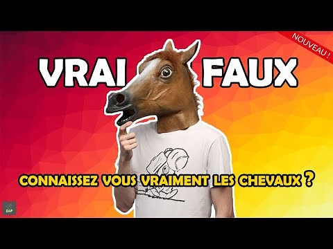 Allez vous réussir ce test sur les chevaux ? Quiz-cheval