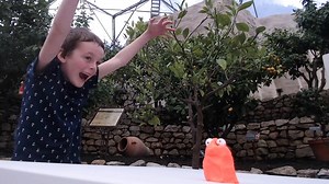 3.1K views · 32 reactions | Let your kids’ imaginations run wild in animation sessions this half-term with Tim Allen (Isle of Dogs Movie) and Jim Parkyn (Aardman Animations). We love this stop-motion video Tim made in our Biome with visitors.  Colour Uncovered is on until 23 Feb. edenproject.com/colour-uncovered | Eden Project | Facebook