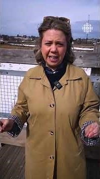 NB Power wants to raise its rates by 4.75% | Videojournal