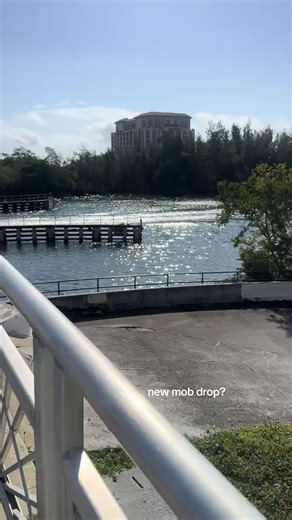 #minecraft #mobs #fyp #pcgaming #minecraftmemes