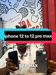 iPhone 12 vs 12 Pro Max: Key Differences Explained