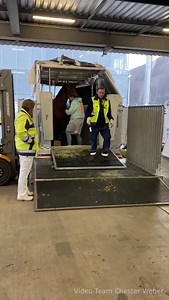 Welcome Guys - luck and success at the Four-in-Hand Driving Highlights in Europe 2024! Team Chester Weber 🇺🇸 gut in Europa gelandet Transport - Quarantäne - Flug... das Topteam des US-Champions Chester Weber ist für die Fahrsportsaison 2024 topfit in Europa angekommen. Nach einer kurzen Erholungsphase stehen die ersten Herausforderungen für das hochmotivierte Team am Programm - der Start beim CAIO der Royal Windsor Horse Show 🇬🇧 𝗧𝗘𝗔𝗠 𝗛𝗜𝗣𝗣𝗢𝗘𝗩𝗘𝗡𝗧 𝗪𝗲❤️𝗗𝗿𝗶𝘃𝗶𝗻𝗴𝘀𝗽𝗼𝗿𝘁 ww