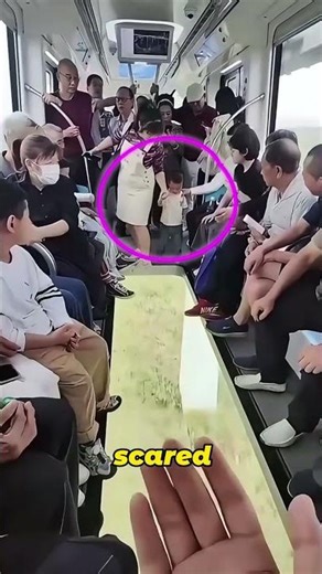 Experience the Transparent Sky Walk