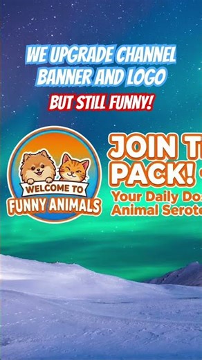 Funny Animals Logo Changed. We improved our banner and logo but we’re still funny! #funnyanimals