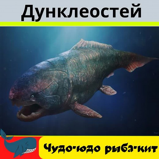 Дунклеостей: доисторическое чудо подводного мира
