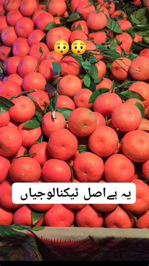 یہ ہے اصل ٹیکنالوجیاں۔۔۔۔ 😯😯😯😯😯 #technologia #viralreels #technology #foryoupage #fyp2025 #fyp #newyear | Nazee collection