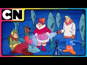 Scooby Doo 🐶| Spooky Fun with Scooby and the Gang! 💀🐶 | Cartoon for Kids | 90s cartoons | ‪@cnindia‬