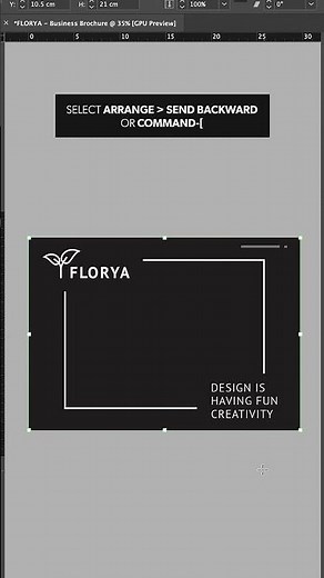 How to Make an Image Black and White in InDesign #Shorts