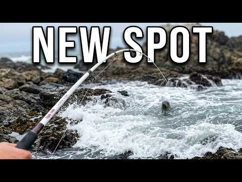 I EXPLORE A NEW ROCK FISHING SPOT…SHELTER COVE…Humboldt County…Northern California Coast