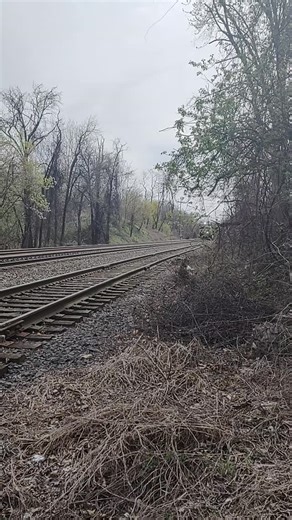 The Train SNIPER! NO ONE gets the shots I get in these remote locations. YOUTUBE Family! 🙏🥰 Please subscribe to my YouTube Channel to get me over 5,000 Subscribers 🚂😬 Click LINK In BIO and SUBSCRIBE 🥰 Thank ❤️ you YouTube FAMILY! 🙏😊🚆🚂 I appreciate you all! #rr #railfans #railroad #trainspotting #rainfanning #trainfan #rollingstock #railfans_of_instagram #floridaeastcoast #freighttrain #locomotive #railfan #traincar #freightcar #daily_crossing #railroads_of_america #train #photography #r