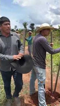 Pai do Miguel põe peão pra trabalhar #comedia