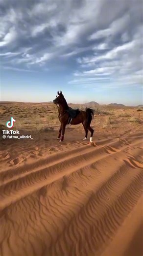 khania sur TikTok