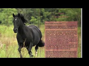 Artgerechte Pferdefütterung - Anweiden, Hufrehe, Parasiten, Zivilisationskrankheiten