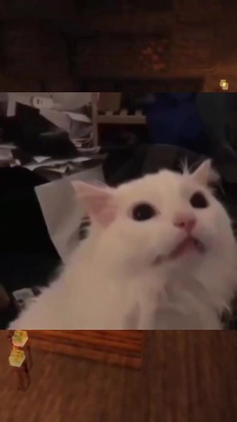 Memes bonitos 😍👍 #bovyn #minercraft #bovyn1 #memes #humor