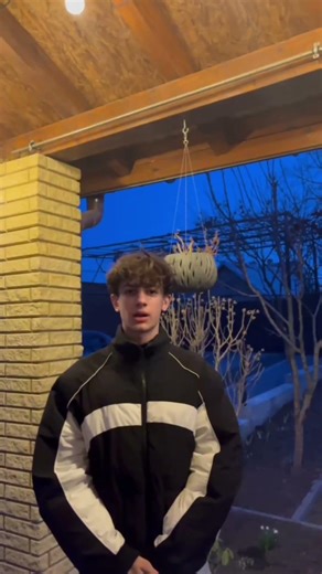 #irregular verbs#conjugate #