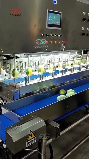 Mango Peeling Machine High Speed