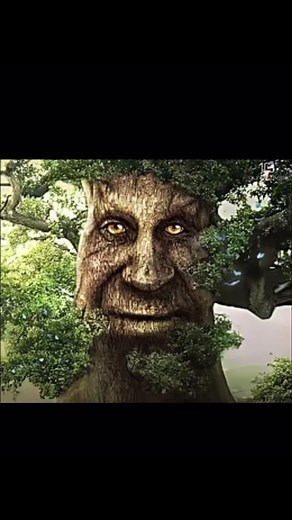 #wise #mystical #tree