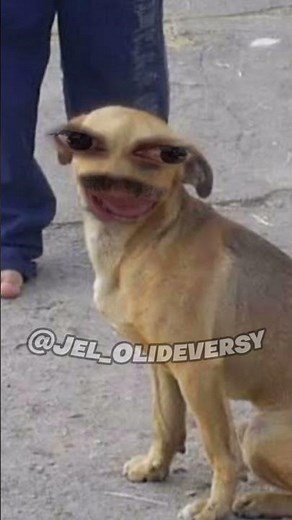 Aula muito suspeita, caramelisson saiu fora