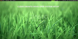 Clean and minimal Ubuntu system setup for developer productivity