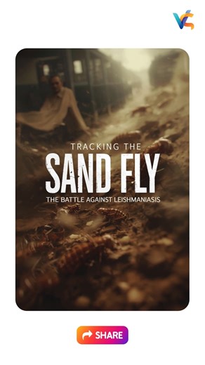 Tracking the Sand Fly: Fighting Leishmaniasis in Endemic Regions #leishmania #ytshorts