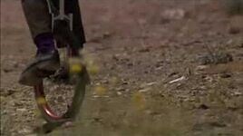 The Beatles Cirque du Soleil LOVE ALL TOGETHER NOW