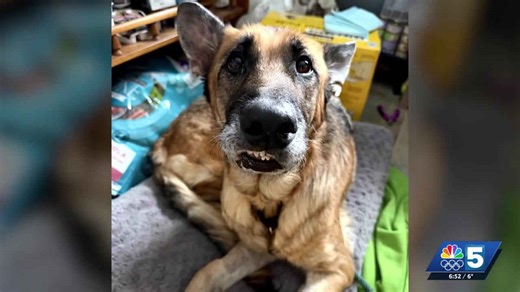 Pet connection: Jan. 29, 2026