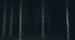 Teen Hiker Lost In The Woods For Over Two Days Shares Her Experience