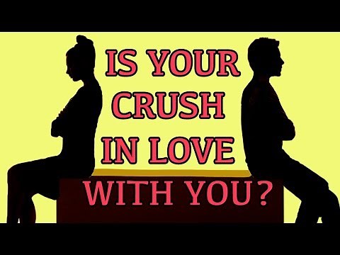 Does Your Crush Like You? How to know if Your Crush Likes You - Love Test | Mister Test