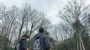 Litchfield company uses drones to take down browntail moths