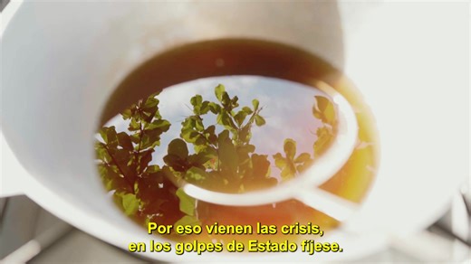 El 30 de noviembre: ¡Tempranito y todito Libre! 🌺 | Partido Libre
