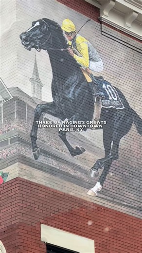 Artist Jaime Corum’s three magnificent murals of Sunday Silence, Curlin, and Secretariat are a beautiful addition to downtown Paris, Kentucky, enhancing a town that proudly celebrates the splendor and heritage of horse racing. 💛 #horseracing #horses #kentucky #parisky | Champions of the Track
