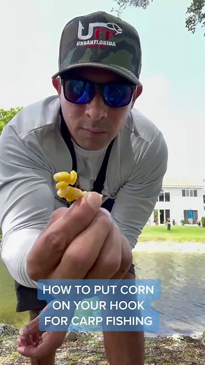 How to Hook Corn for Carp Fishing