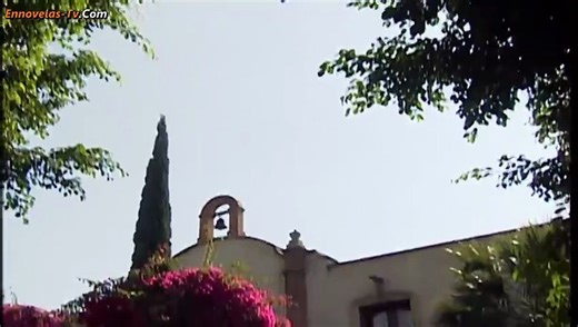 156. Destilando Amor