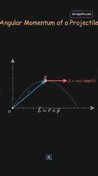 When Velocity Changes Direction, What Happens to Angular Momentum?
