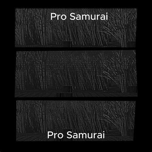 Pro Samurai. Pro Samurai
