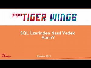 Logo Tiger Wings SQL Server Üzerinden Yedekleme Nasıl Yapılır.