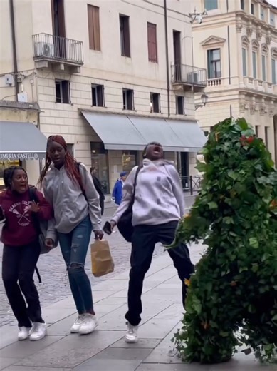 Bushman Prank: Hilarious Moments Caught on Camera