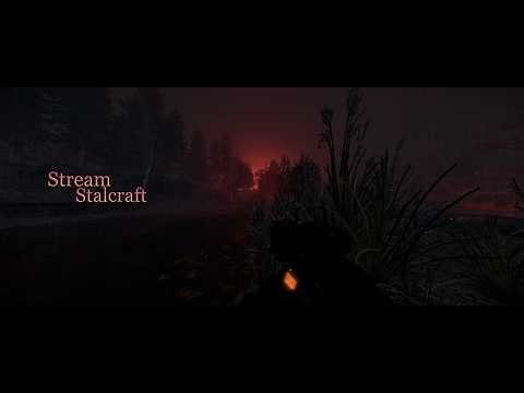 🖤 Stream - STALCRAFT * Хочешь-не хочешь, а заданьки надо делать *-*