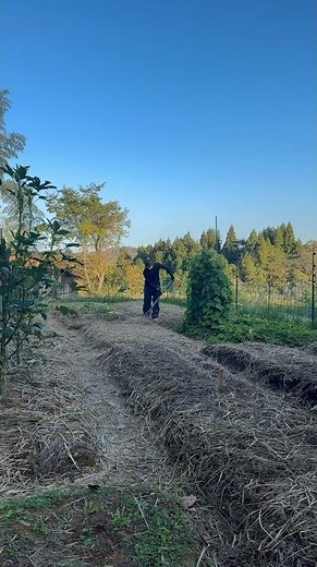 #144 A Happy Daily Routine | A Beginner in Rural Life in Japan