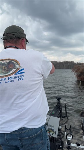 160K views · 1.5K reactions | When your Crappie Fishing but the Catfish don’t know that  | Blue Bank Resort | Facebook