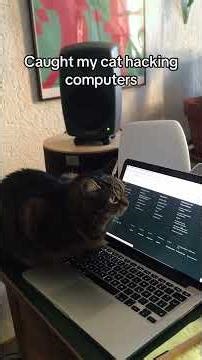 $1000 Tech vs My Cat… Guess Who Wins 😭