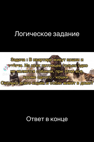 Кто смог правильно ответить сам?) #психология #логическиезадачи #логическиетесты #психологическийтест #врек