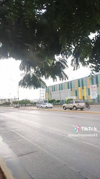 Explora el Programa Incentivo en Vivo