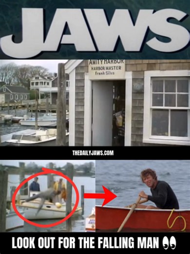 In this extended dock scene in #JAWS, Chief Brody & Deputy Hendricks are scrambling for control after Mrs Kintner's ad in 'Field and Stream'. 👀 Look closely & you'll see a man falling off a boat - this is stuntman Teddy Grossman who played the estuary victim later in the movie.