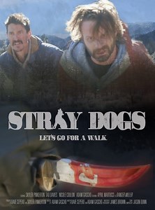 Stream Stray Dogs (2020): Find it on Netflix, Prime Video, Hulu & more