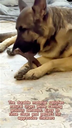 Chew toys for hyper large dogs